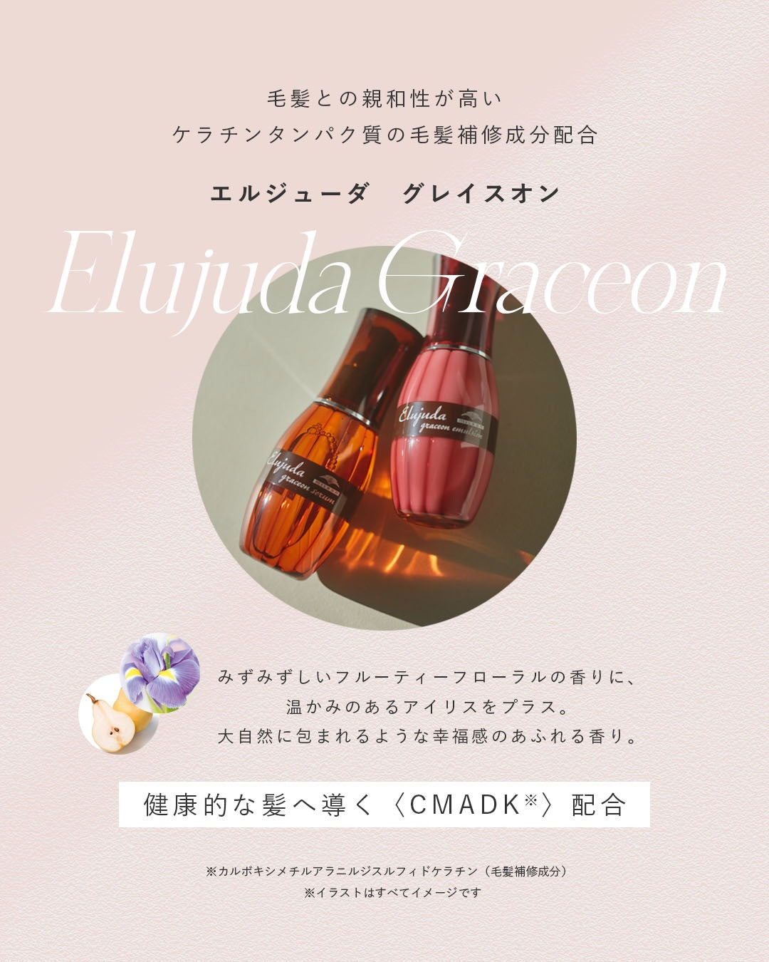 エルジューダ グレイスオン セラム/エマルジョン 120ml – acote shop